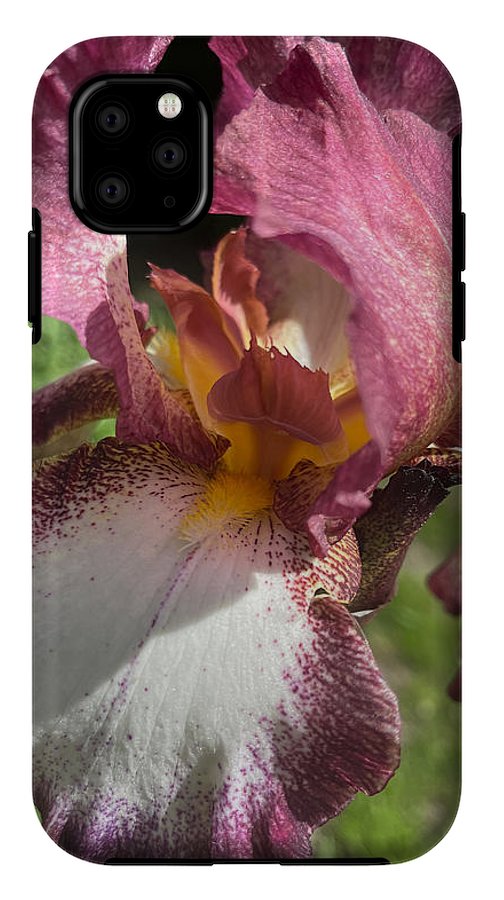 Burgundy iris - Phone Case