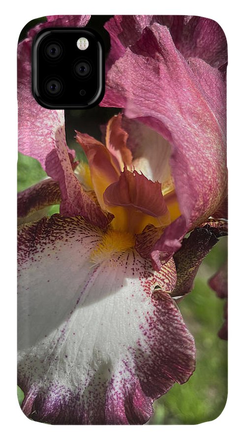 Burgundy iris - Phone Case