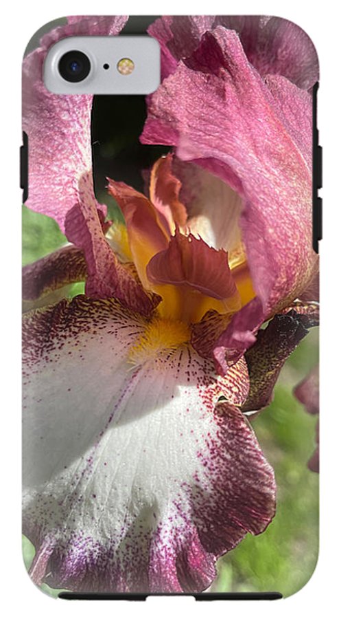 Burgundy iris - Phone Case