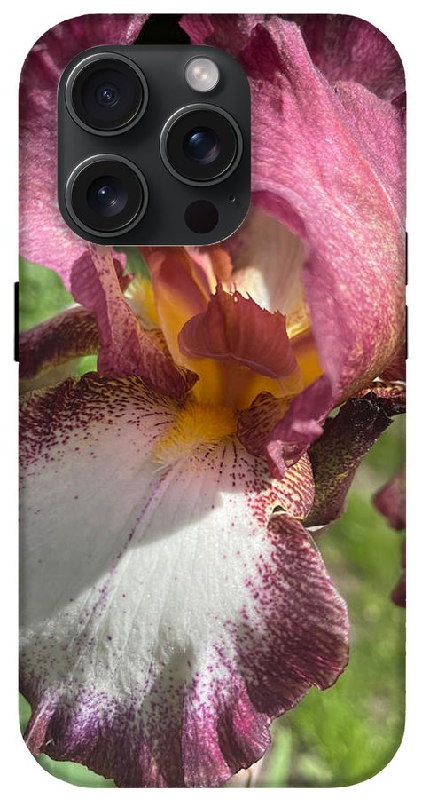 Burgundy iris - Phone Case