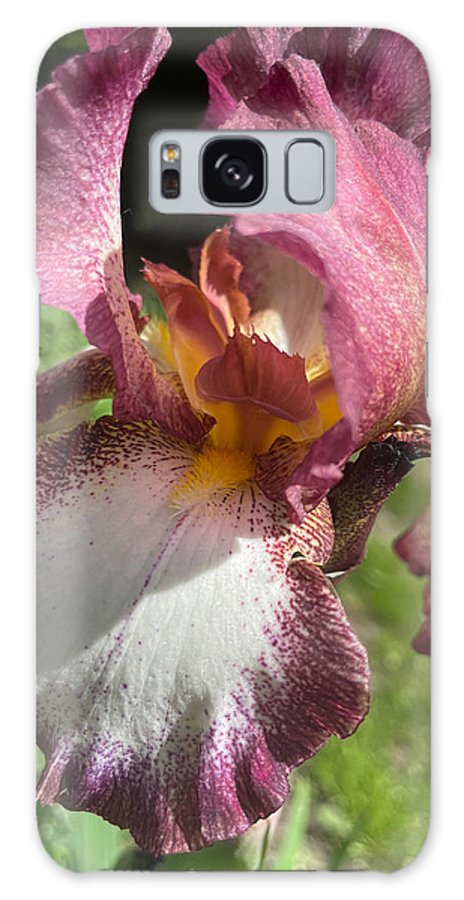 Burgundy iris - Phone Case