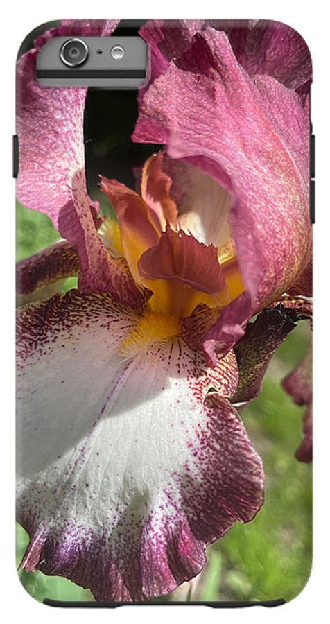 Burgundy iris - Phone Case