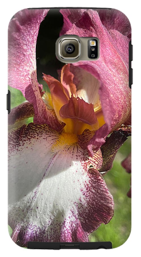 Burgundy iris - Phone Case