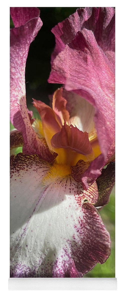Burgundy iris - Yoga Mat