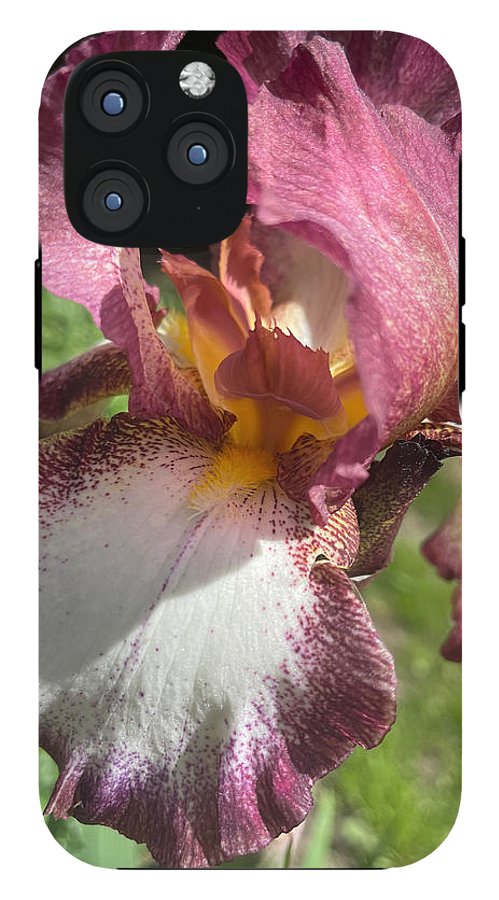 Burgundy iris - Phone Case