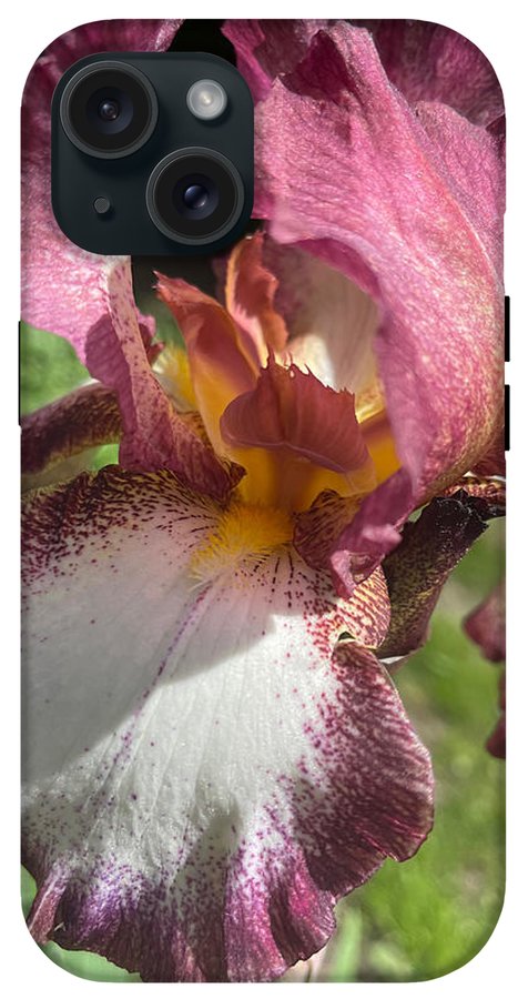 Burgundy iris - Phone Case