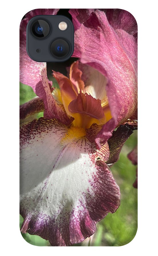 Burgundy iris - Phone Case