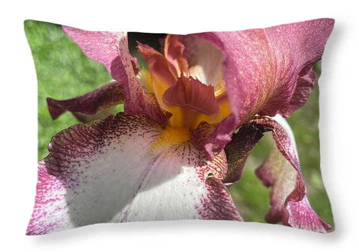 Burgundy iris - Throw Pillow