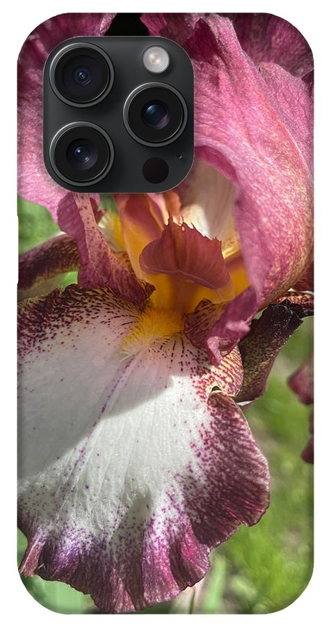 Burgundy iris - Phone Case