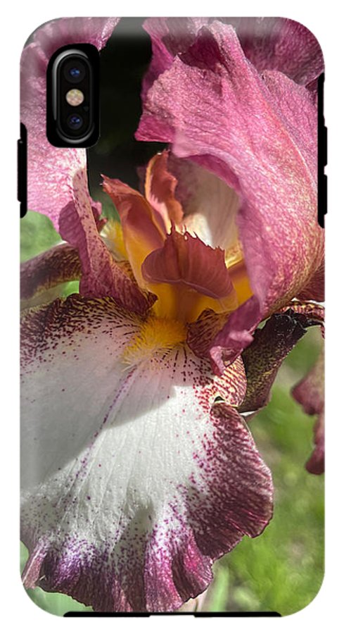 Burgundy iris - Phone Case