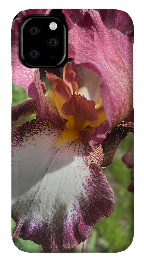 Burgundy iris - Phone Case