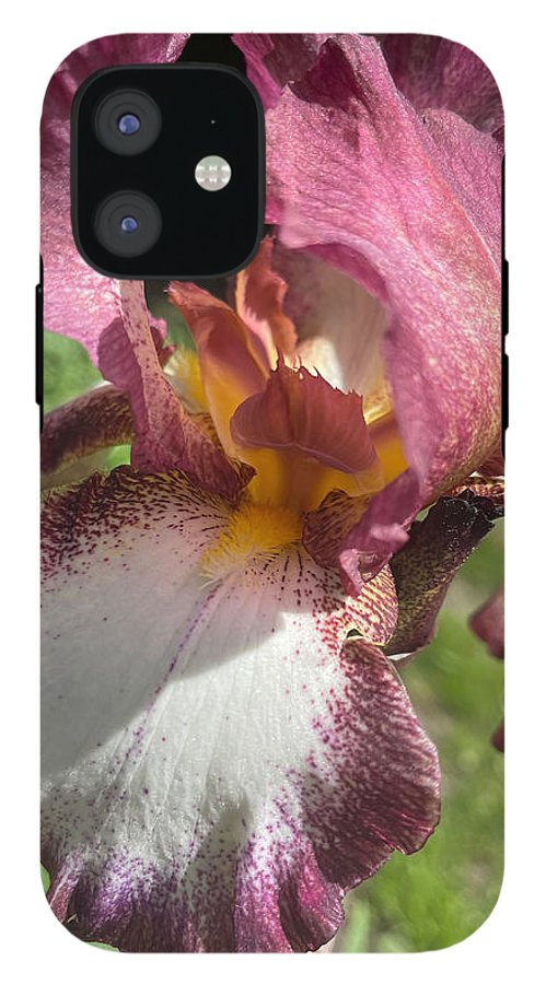 Burgundy iris - Phone Case