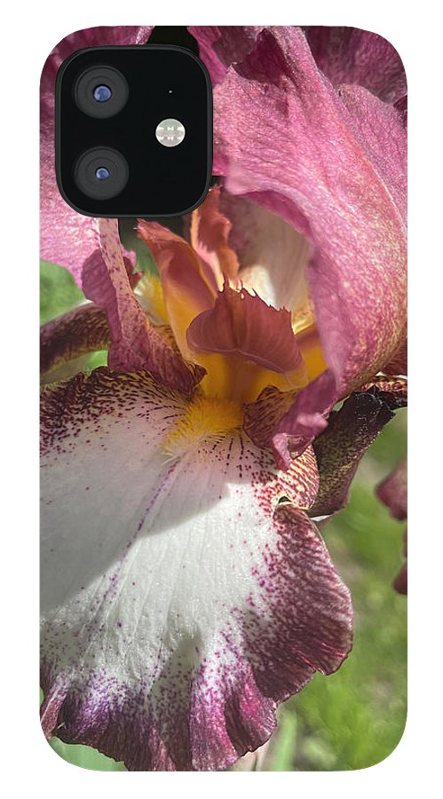 Burgundy iris - Phone Case