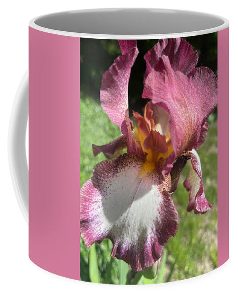 Burgundy iris - Mug