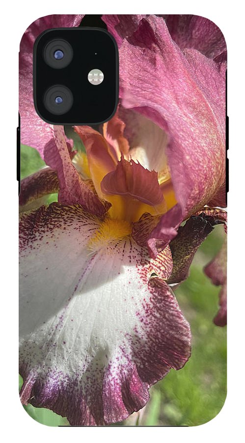 Burgundy iris - Phone Case