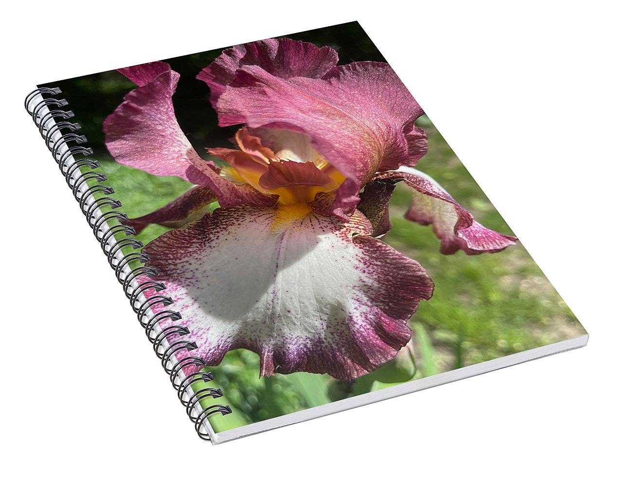 Burgundy iris - Spiral Notebook