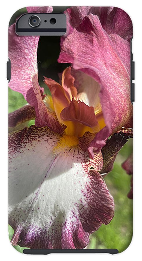 Burgundy iris - Phone Case