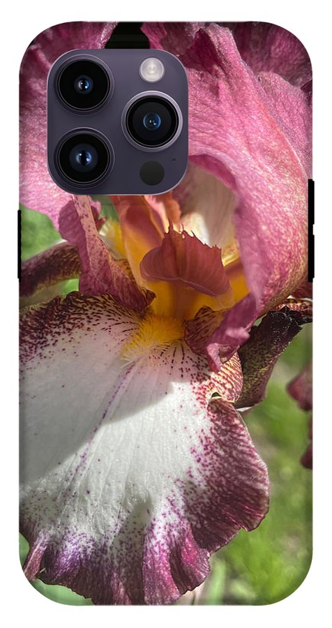 Burgundy iris - Phone Case