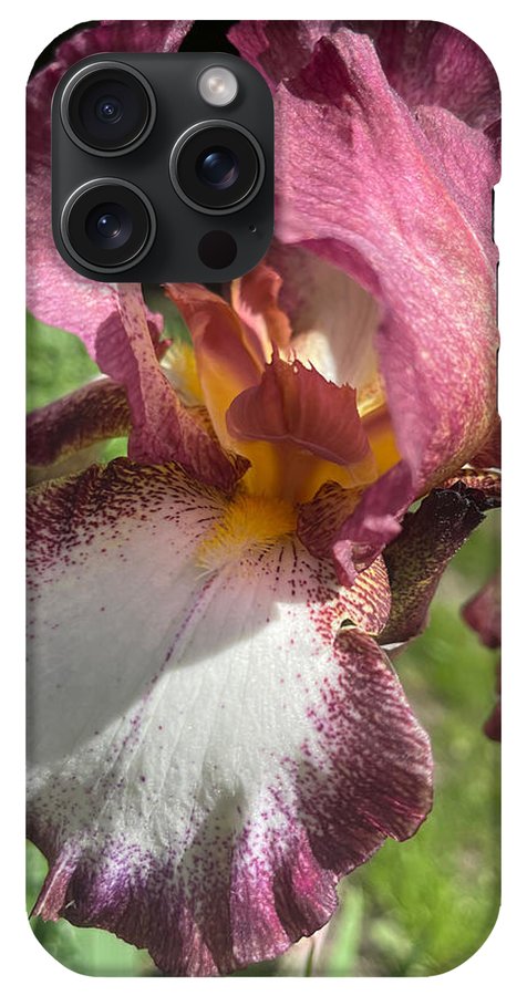 Burgundy iris - Phone Case