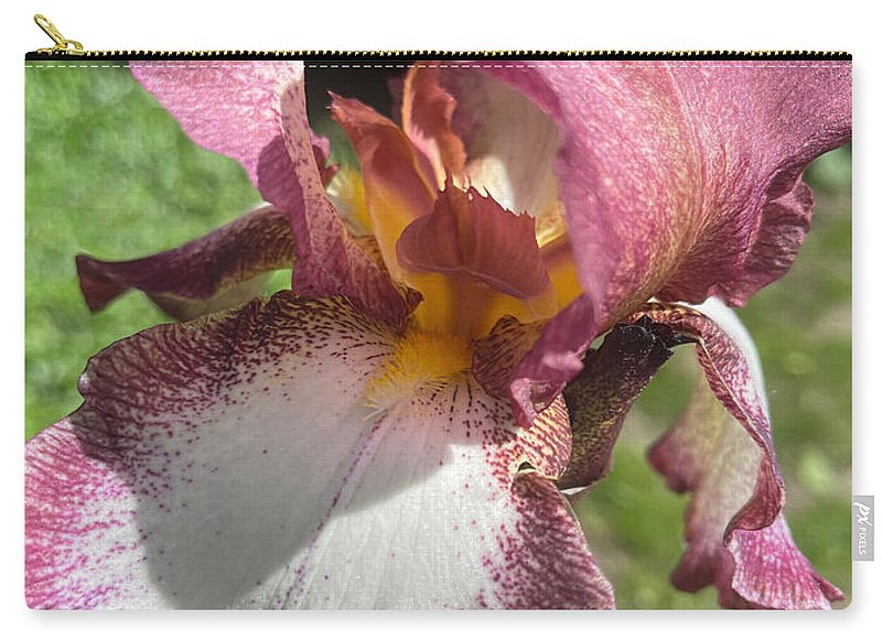 Burgundy iris - Carry-All Pouch