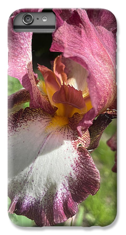 Burgundy iris - Phone Case