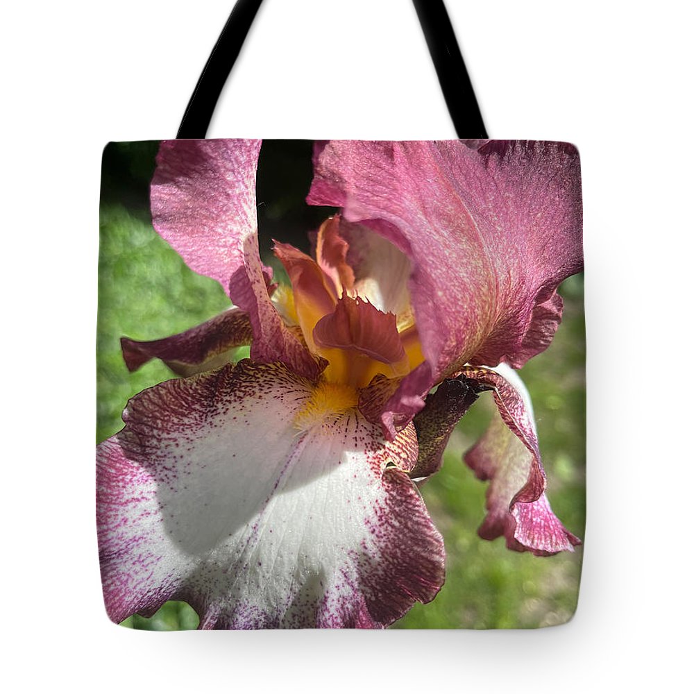 Burgundy iris - Tote Bag