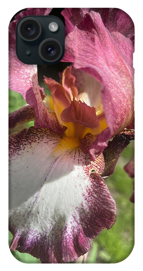 Burgundy iris - Phone Case