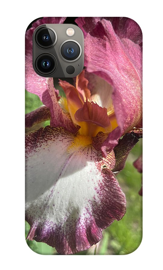 Burgundy iris - Phone Case