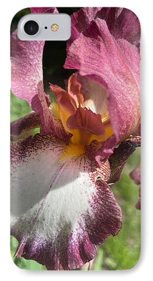 Burgundy iris - Phone Case