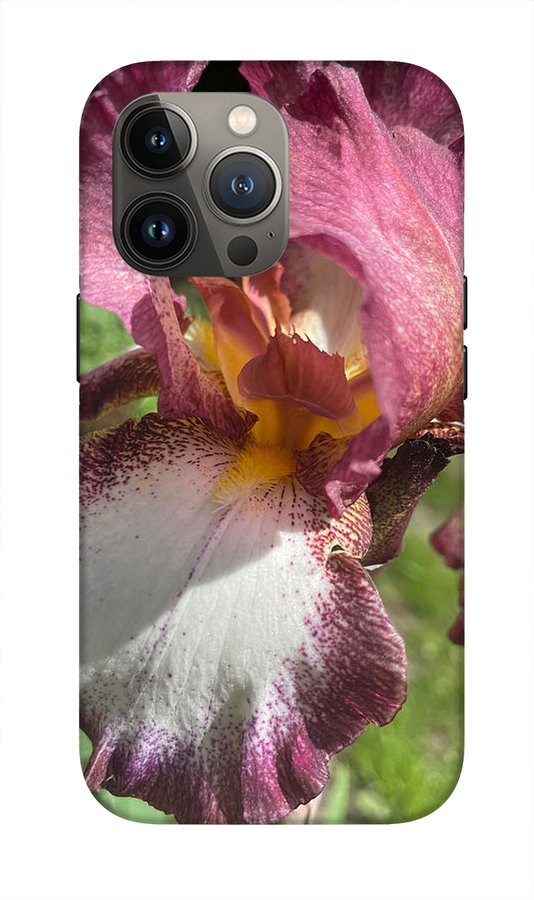 Burgundy iris - Phone Case