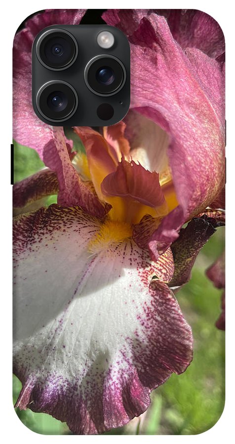 Burgundy iris - Phone Case