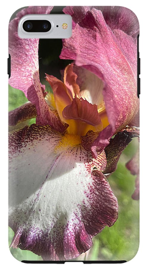 Burgundy iris - Phone Case