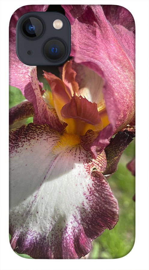 Burgundy iris - Phone Case