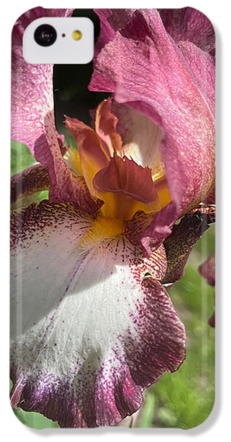 Burgundy iris - Phone Case