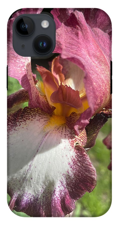 Burgundy iris - Phone Case