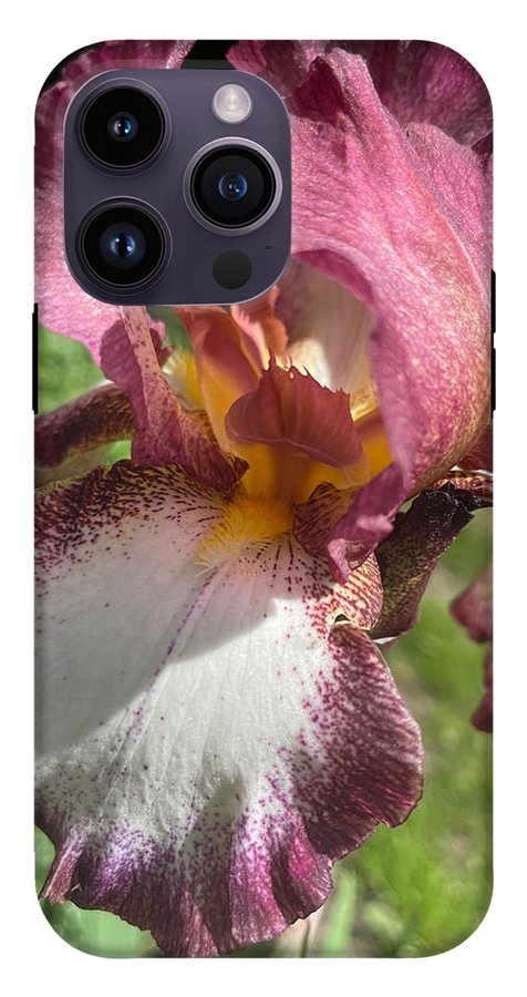 Burgundy iris - Phone Case