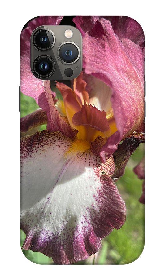 Burgundy iris - Phone Case