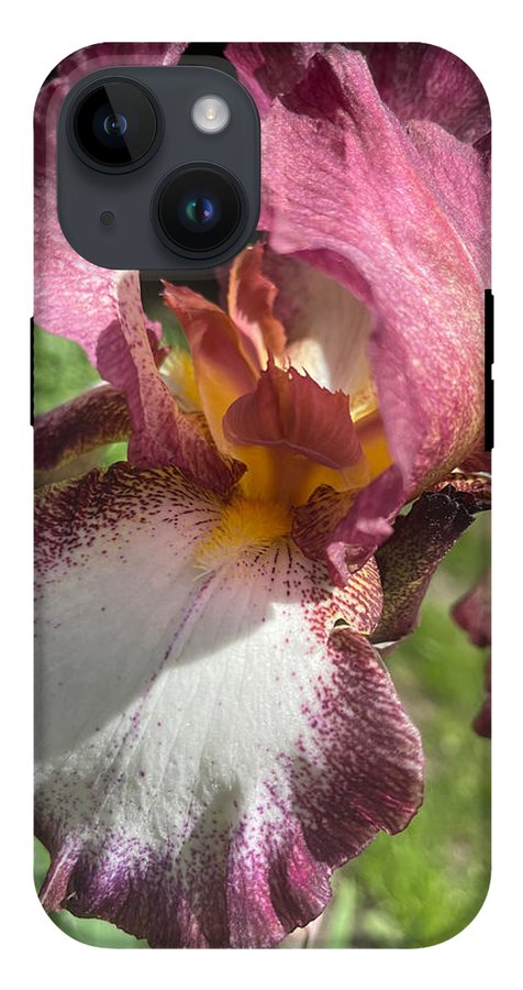 Burgundy iris - Phone Case