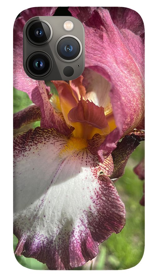 Burgundy iris - Phone Case