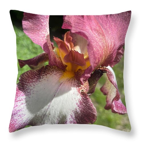 Burgundy iris - Throw Pillow