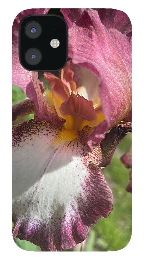 Burgundy iris - Phone Case