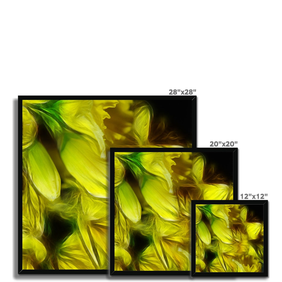 Abstract Yellow Daffodils Framed Print