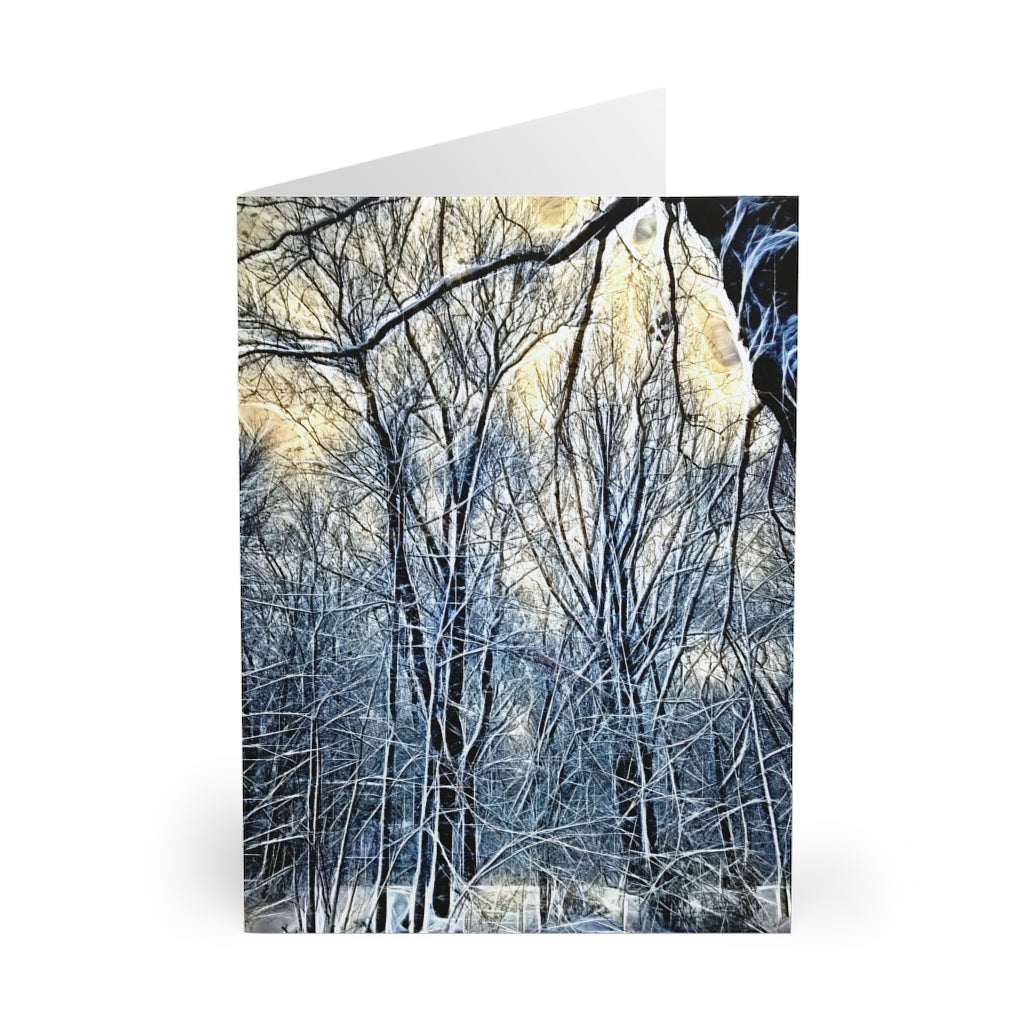 4 Oclock Winter Landscape Greeting Cards (5 Pack)