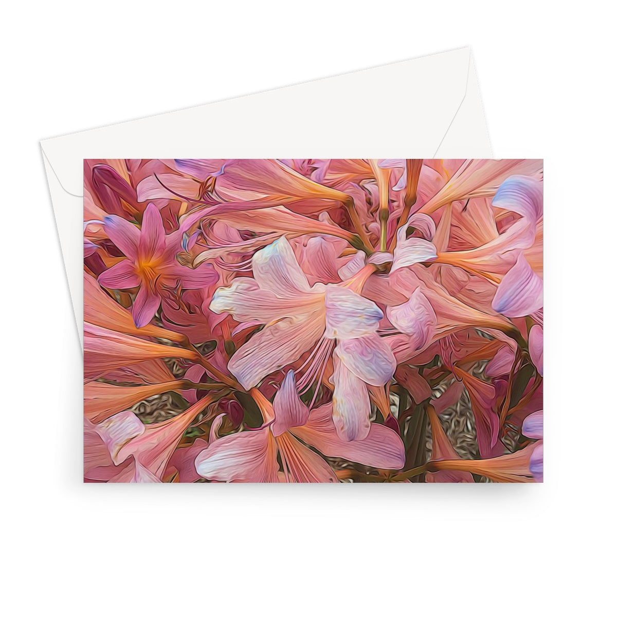 Pink Amaryllis Greeting Card