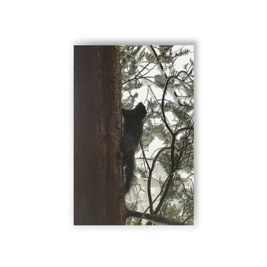 Squirrel On a Snowy Tree Postcards (10pcs)