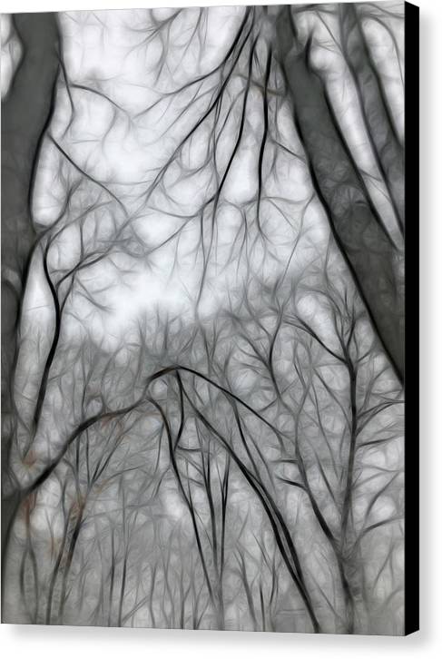 Calm Winter - Canvas Print