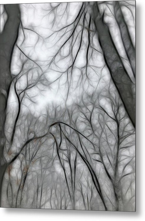 Calm Winter - Metal Print