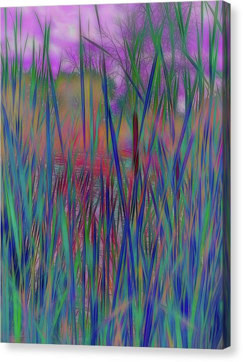 Cattail In July - Canvas Print