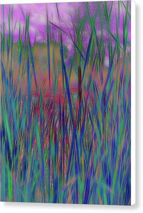 Cattail In July - Canvas Print