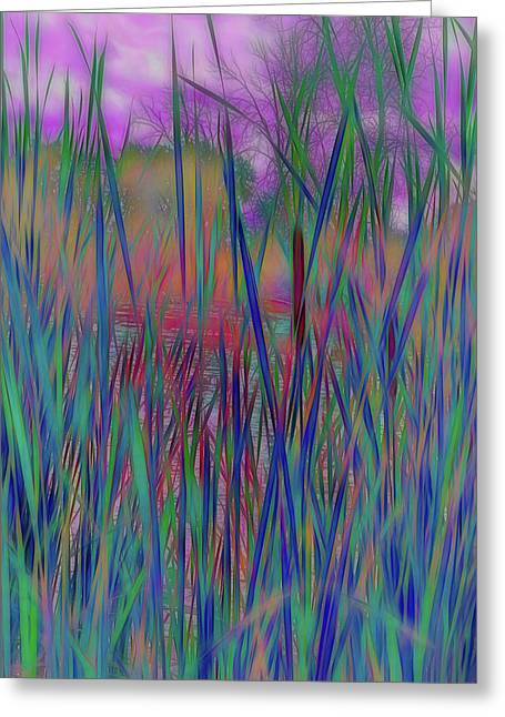 Cattail In July - Greeting Card